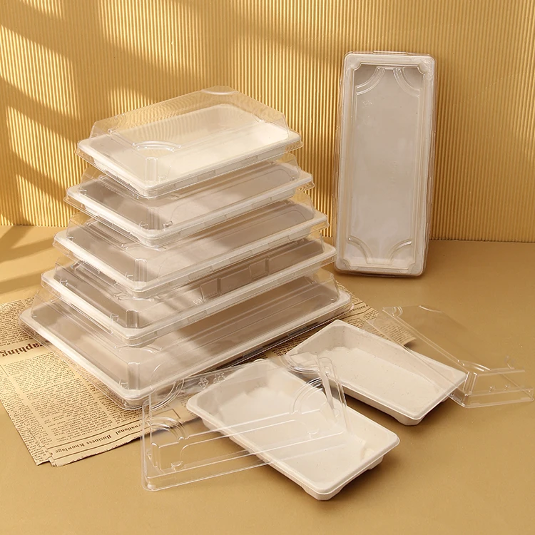 Factory Direct Supply Takeout Food Trays Sugarcane Sushi Box Plastic Food Containers With Lids