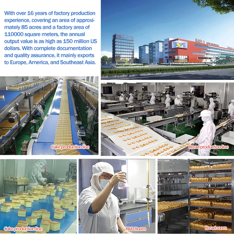 healthy snacks breakfast replacement lactobacillus flavor pocket filled bread gluten free bread Sandwich bread