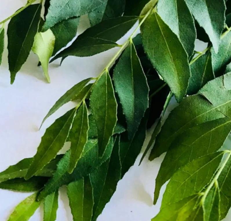 Wholesale raw natural sliced dried curry leaves for spice