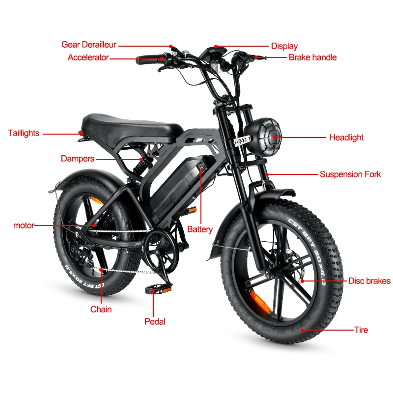 EU Stock Ebike 750W Electric Bike 20'*4 Big Tire Fat Bike Electric Mountain City Ride Off Road Electric Bikes