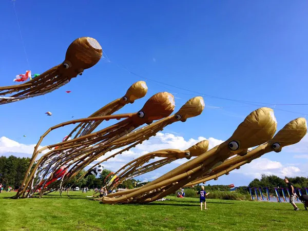 Professional kitesurfing  octopus kite