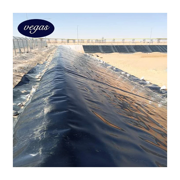 good flexibility excellent UV resistance geomembrane for Water Treatment System