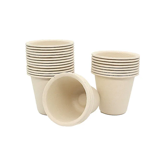 Professional Manufacture Wholesale Bamboo Fiber Disposable Coffee Cup Juice Cup