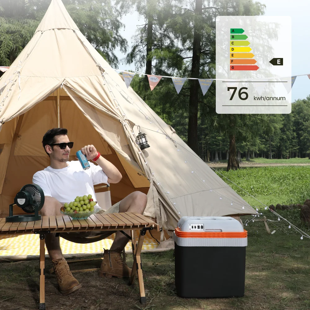 24l Car Fridge Low Noise 12v Ac Dc Camping Electric Cooler Box Electric Cooler Warmer With Handle