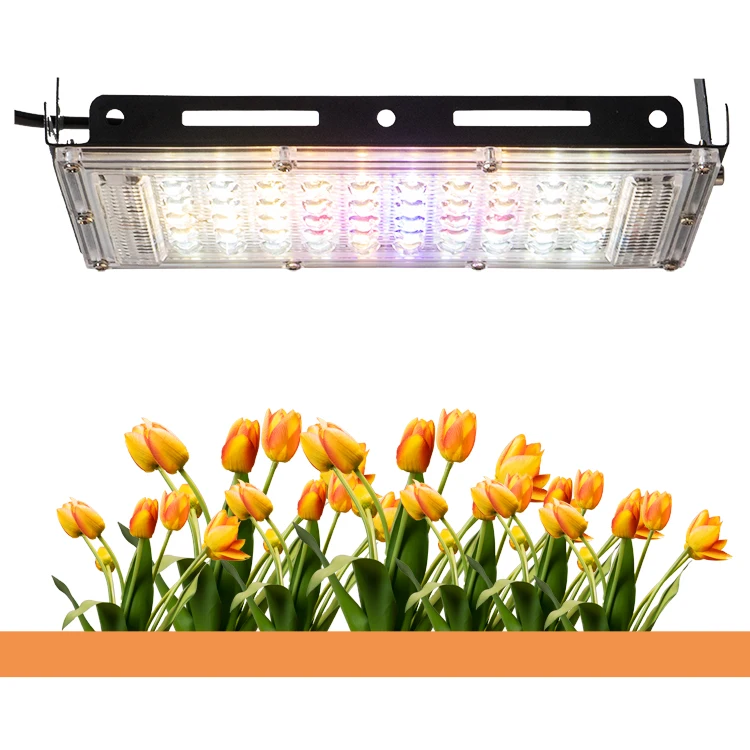 Tripod Stand Lamp ON/OFF Switch 150W LED Grow Light for Indoor Plants