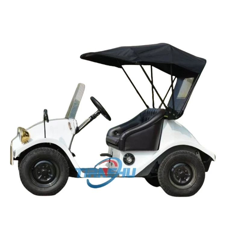 Mini New Electric Cars with 2 Seater Sightseeing Vintage Car