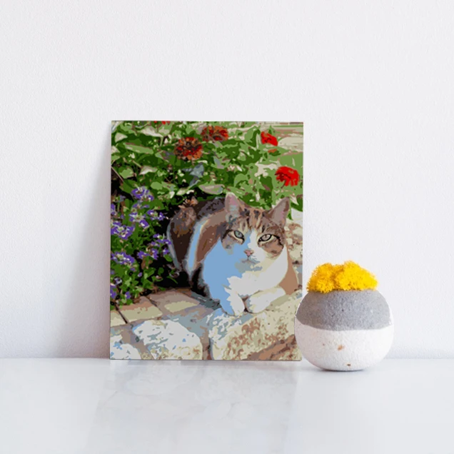 
Dropshipping Paint by Number Pet cat personalized photo living room photo decoration photo gift 