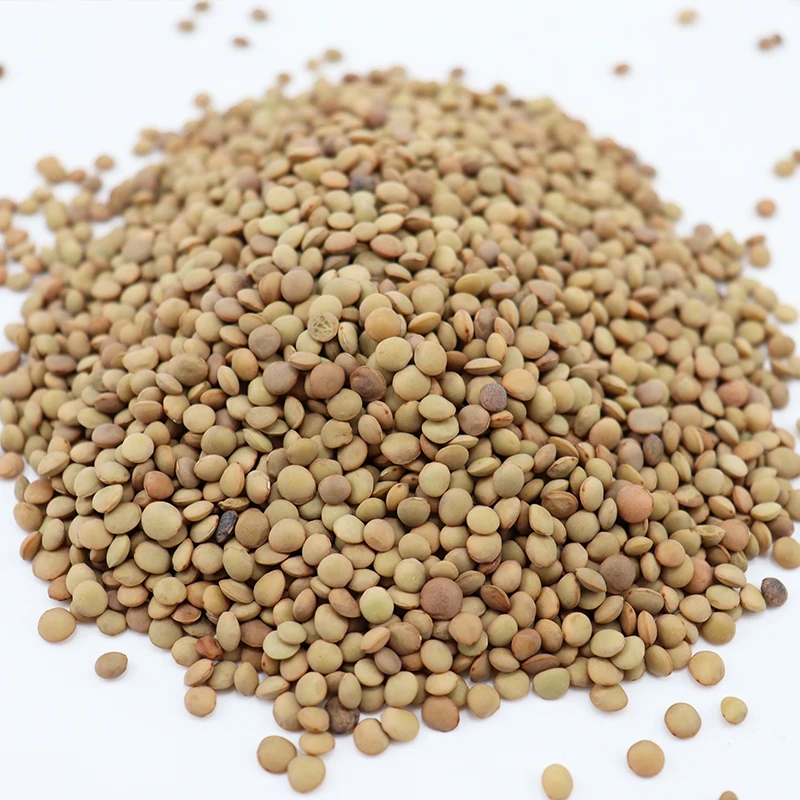 Green Lentils best quality