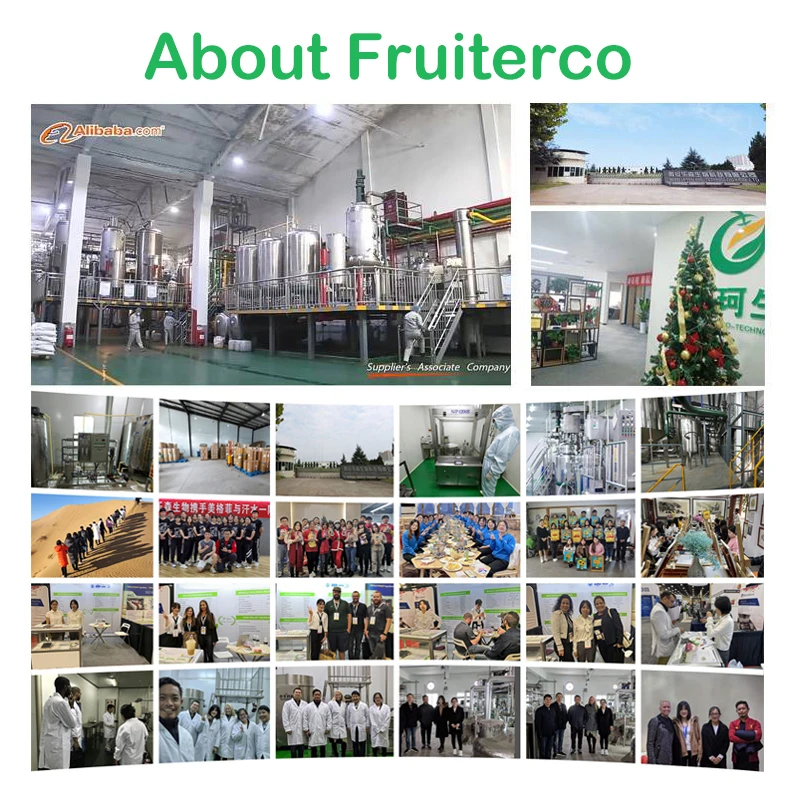Экстракт порошка софоры японской изокверцетин 98% поставка Fruiterco