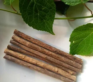 100% Органическая сухая актинидия полигама мататаби серебристые листья корм для взрослых домашних животных в упаковке кошек