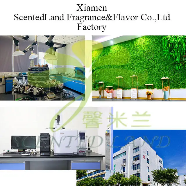 Concentrated flavors natural premium flavors and fragrances green tea flavors for cleaning and washing