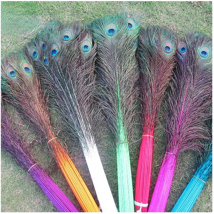 Wholesale dyed peacock tail ornament Colored peacock feather