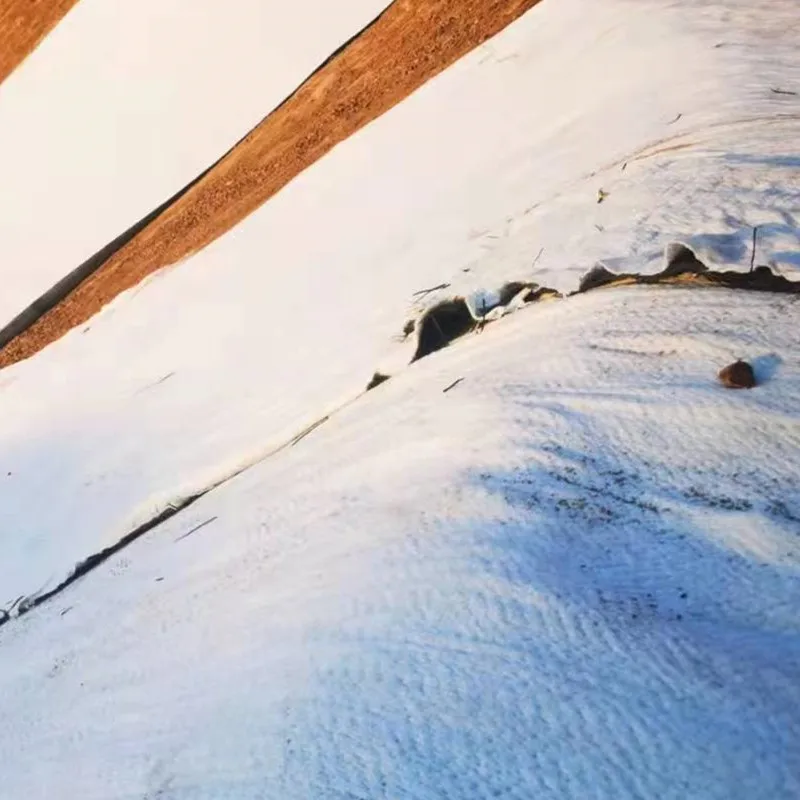 Waterproof blanket bentonite composite waterproof Geosynthetics Clay Liner (GCL)