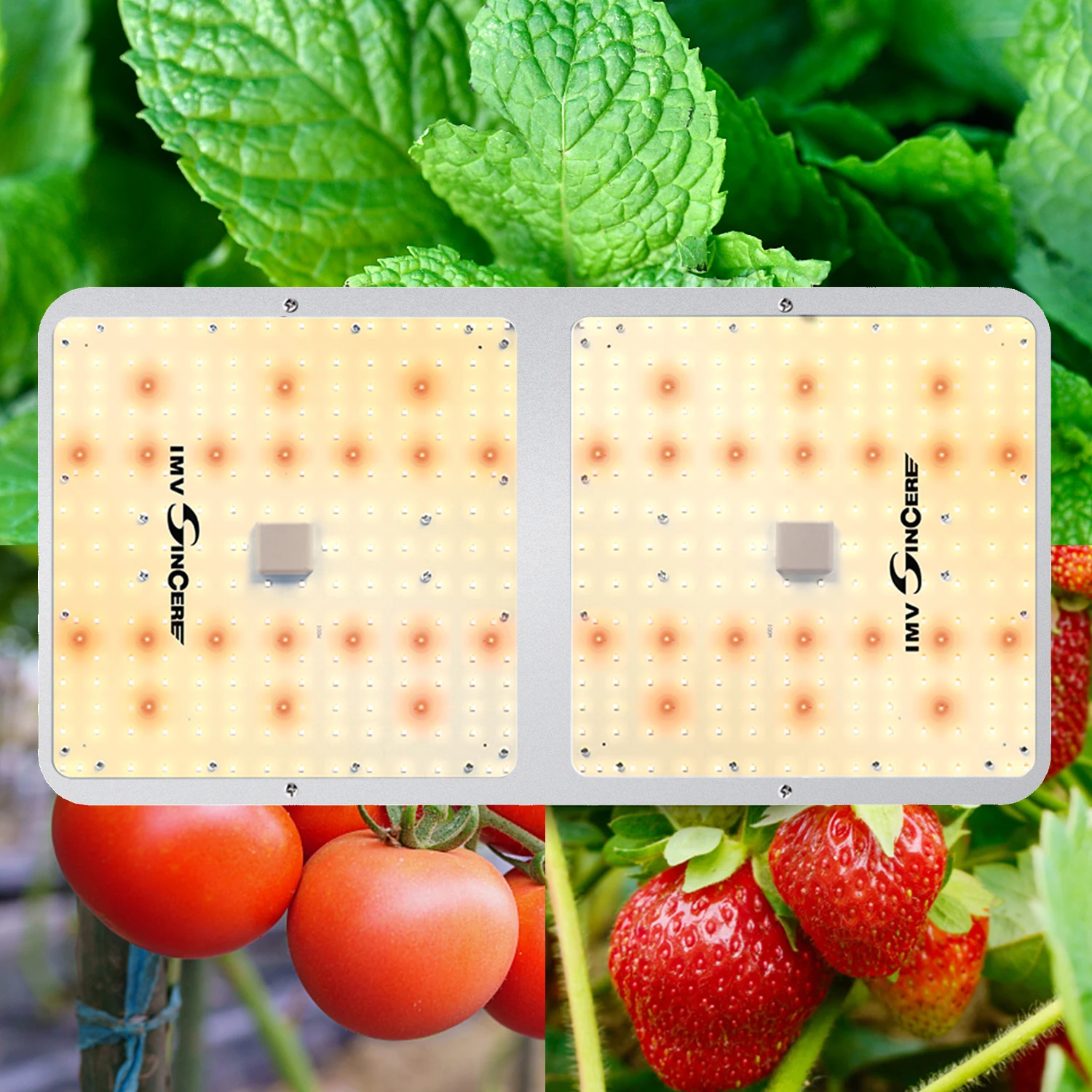 100W 200W 60W 40W LED Grow Light full spectrum with Seed Starting Seedlings Vegetables Plant Growing Lamps Daisy Chain3200-3400K