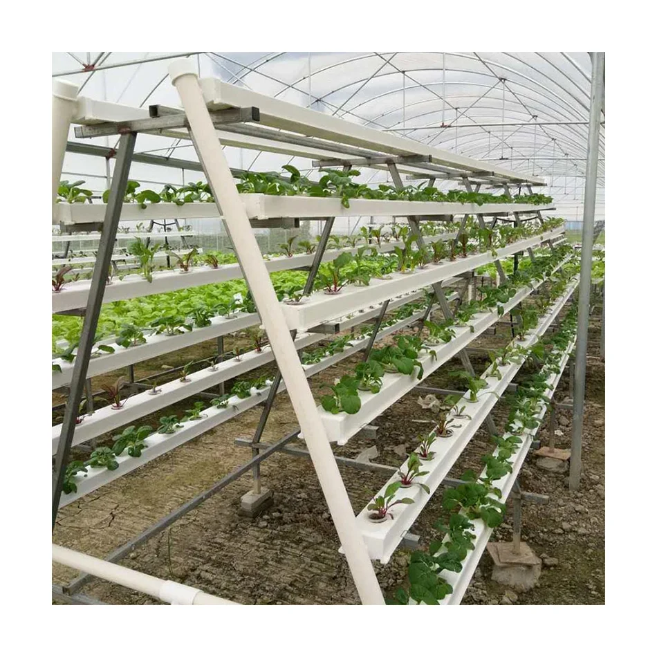 Hydroponic Nft System Vertical Hydroponic Growing System PVC Pipe for Lettuce Strawberry