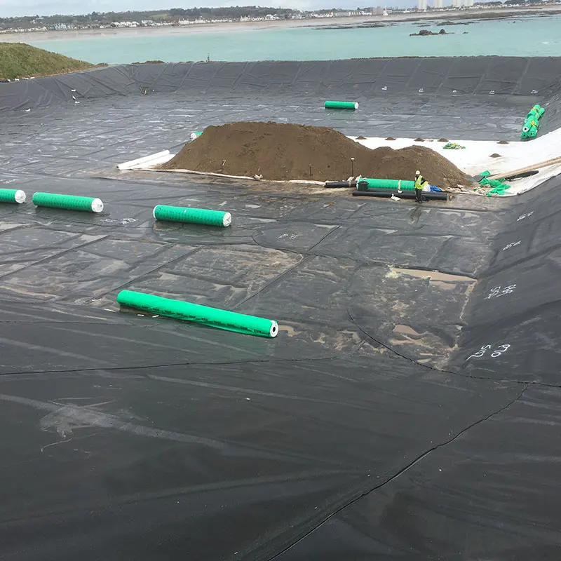Good Creep Property HDPE Geomembrane High Density Polyethylene Waterproofing Lining