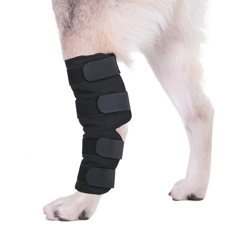 Amazon Hot Selling Customize  Recovery Protector Dog Knee Brace Orthopedic Dog Leg Brace Rear Hock