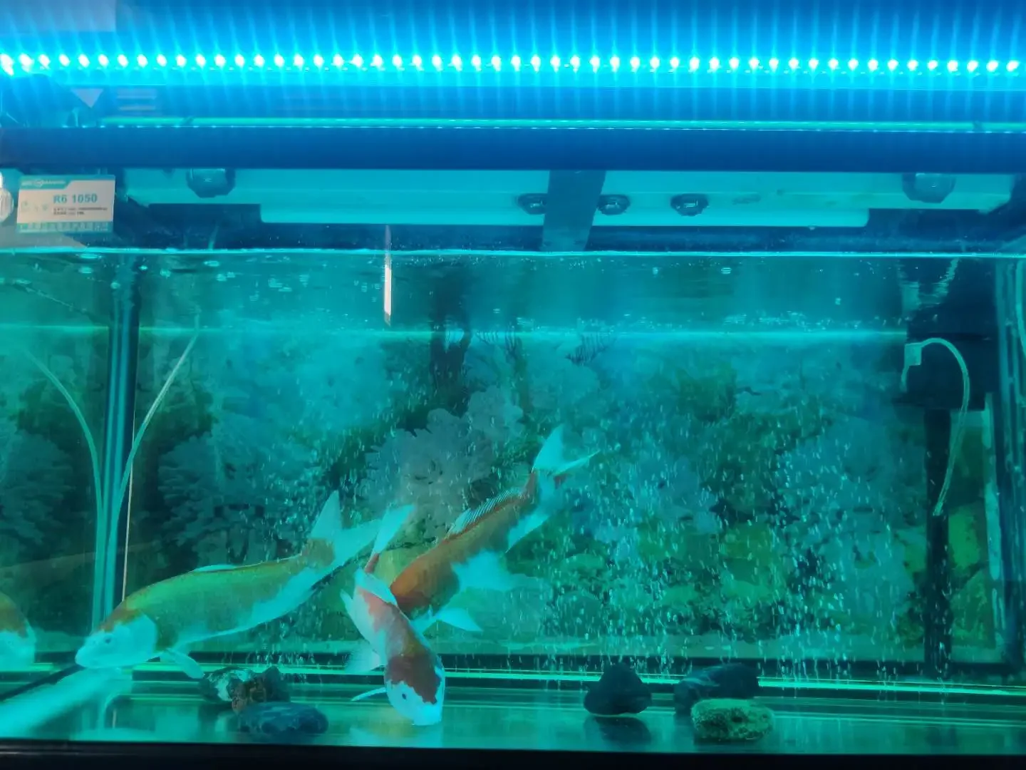 High quality fish tank  LED lamps Aquarium decorative lighting plant growth lights Waterproof LED aquarium lights