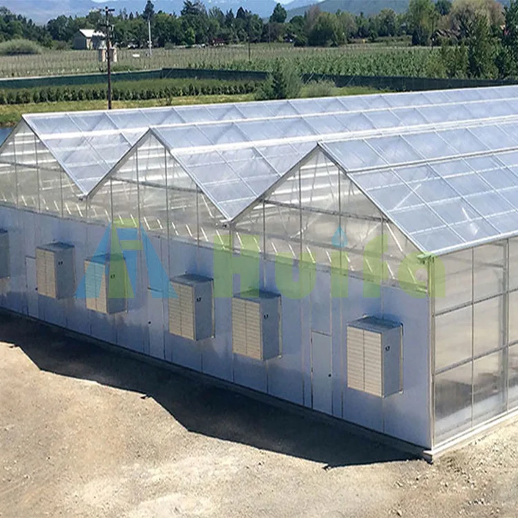 Most Favorable Price Black Out Green House Fully Automated Blackout Curtain Polycarbonate Light Dep Greenhouse In America