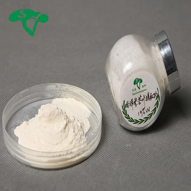 American Ginseng Extract Powder Panax Quinquefolius Saponins Panax Ginseng extract