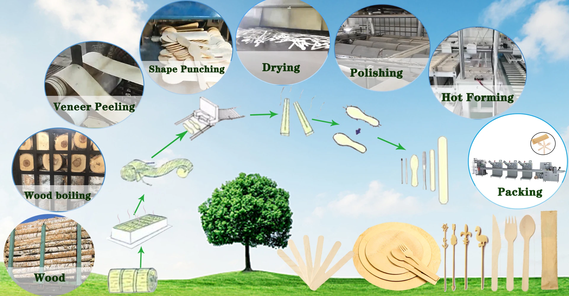 Disposable wooden food grade ice cream stick  production line