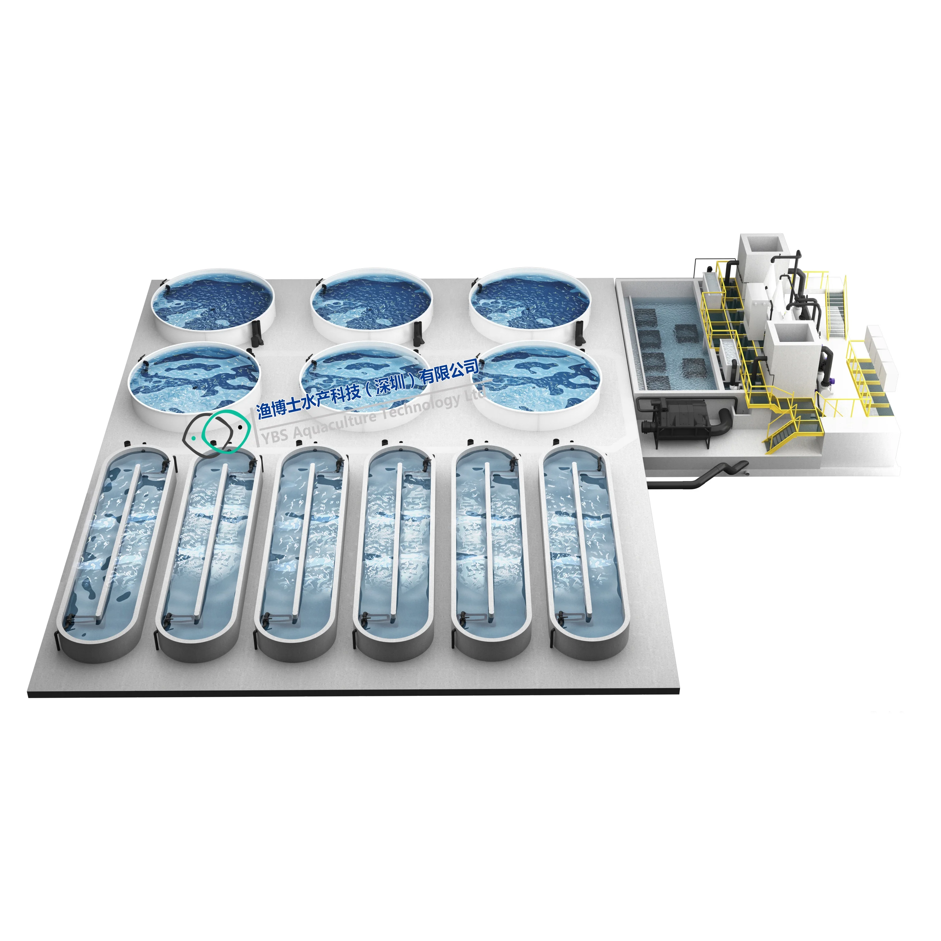 Model indoor Recirculating Aquaculture System for Tilapia mossambica/catfish nursery