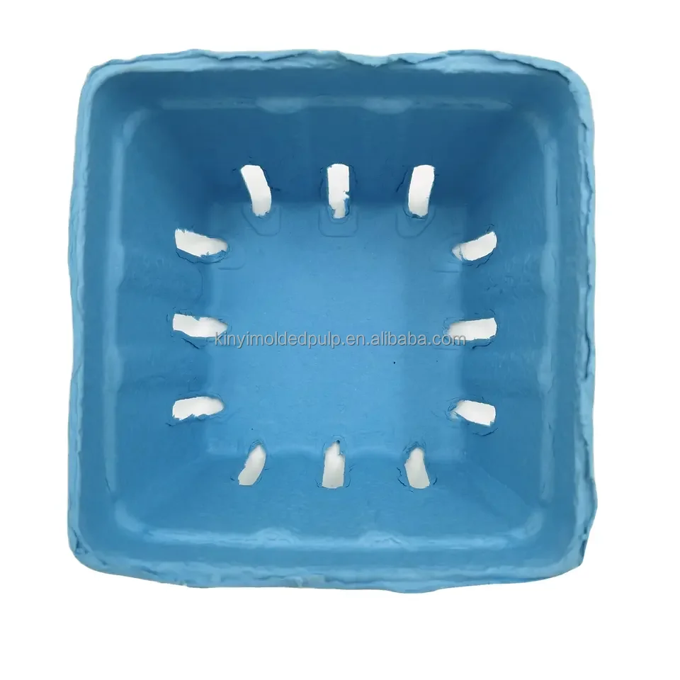 Customized Biodegradable Compostable Fruit Vegetable Tray Sugarcane Bagasse Tray