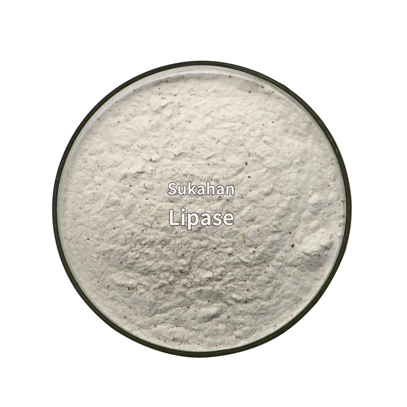 lipase enzyme manufacturer supply hot sale high quantity lipase powder