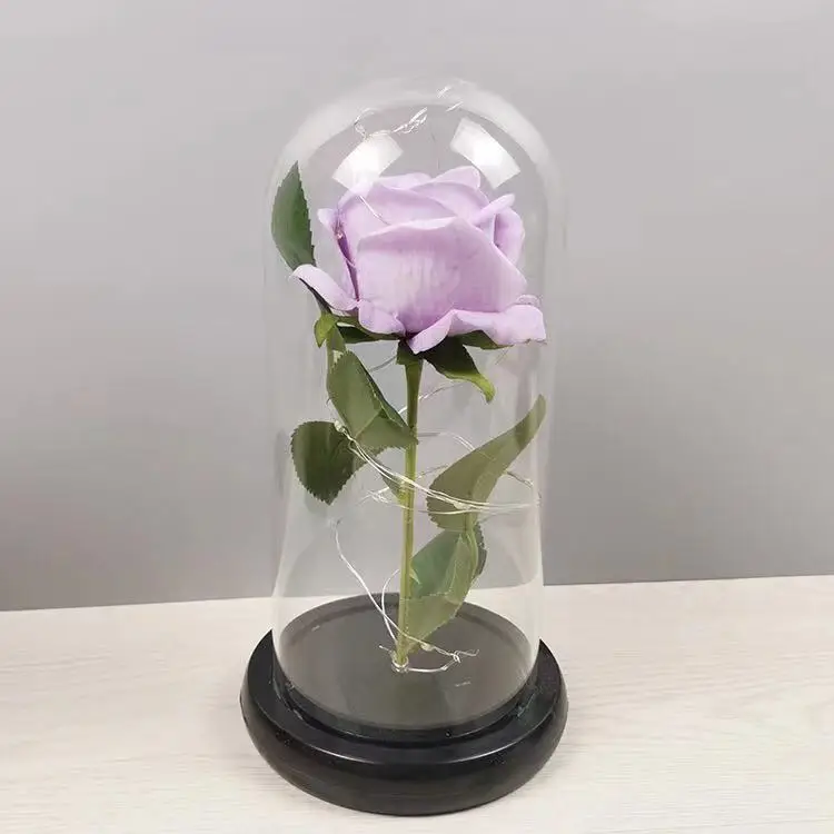 Love Roses in Glass Tube Dome Everlasting Flower Rose Stem Flower Glass Dome Rose