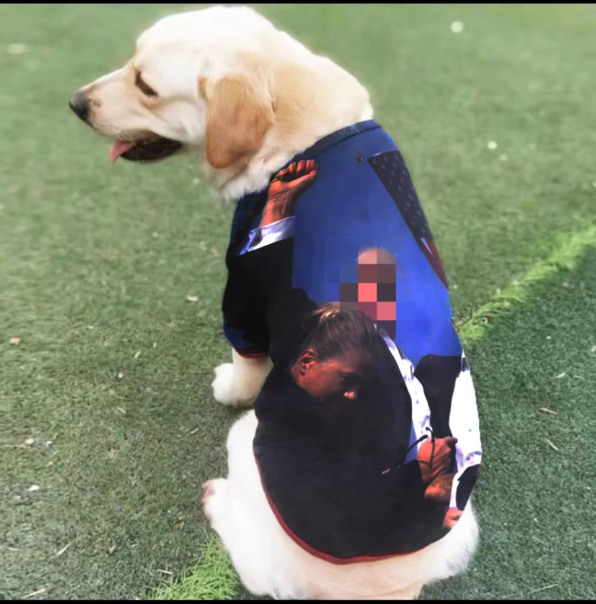 Fan Gifts US 2024 Hot Sale Makes America Strong Again , Same Dog Clothes