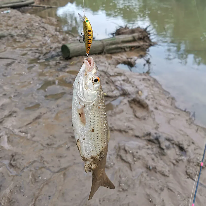 New 5cm 6g Minnow Stream Fishing Lure Mini Trout Baits Small Whopper Vibrating Light Sinking Fish Crankbait Japan Winter Tackle