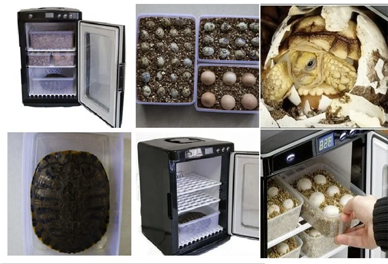 car refrigerator capacity and egg incubator for reptile 25L for small fridge
