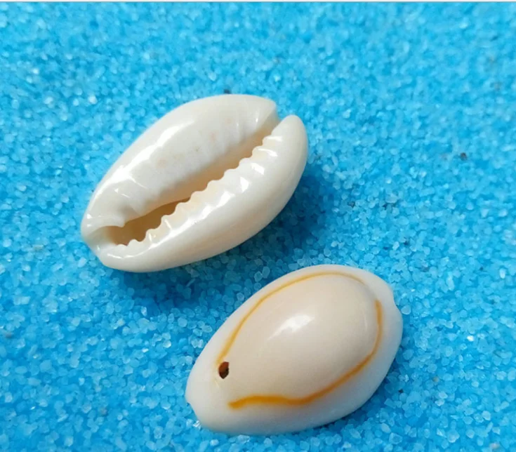 hair mountings braiding cowrie shell beads for hair accessories shell hair clip decor 1kg