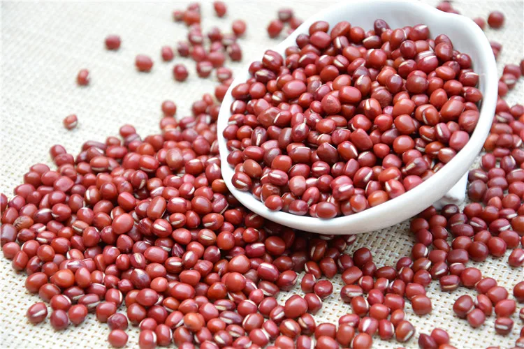 
Wholesale Adzuki Pearl Type Small Round Red Beans 