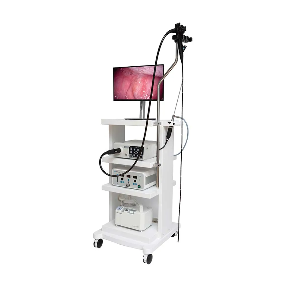 Newly listed gastroscopy colonoscopy medical gastrointestinal endoscopy system Animal endoscopic