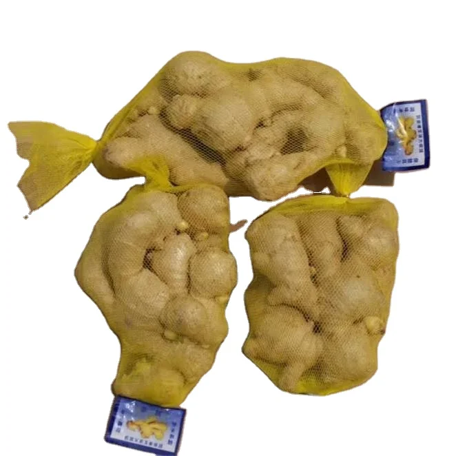 China factory custom MINI mesh bag for egg ginger garlic fruit vegetable dried fruit and toy