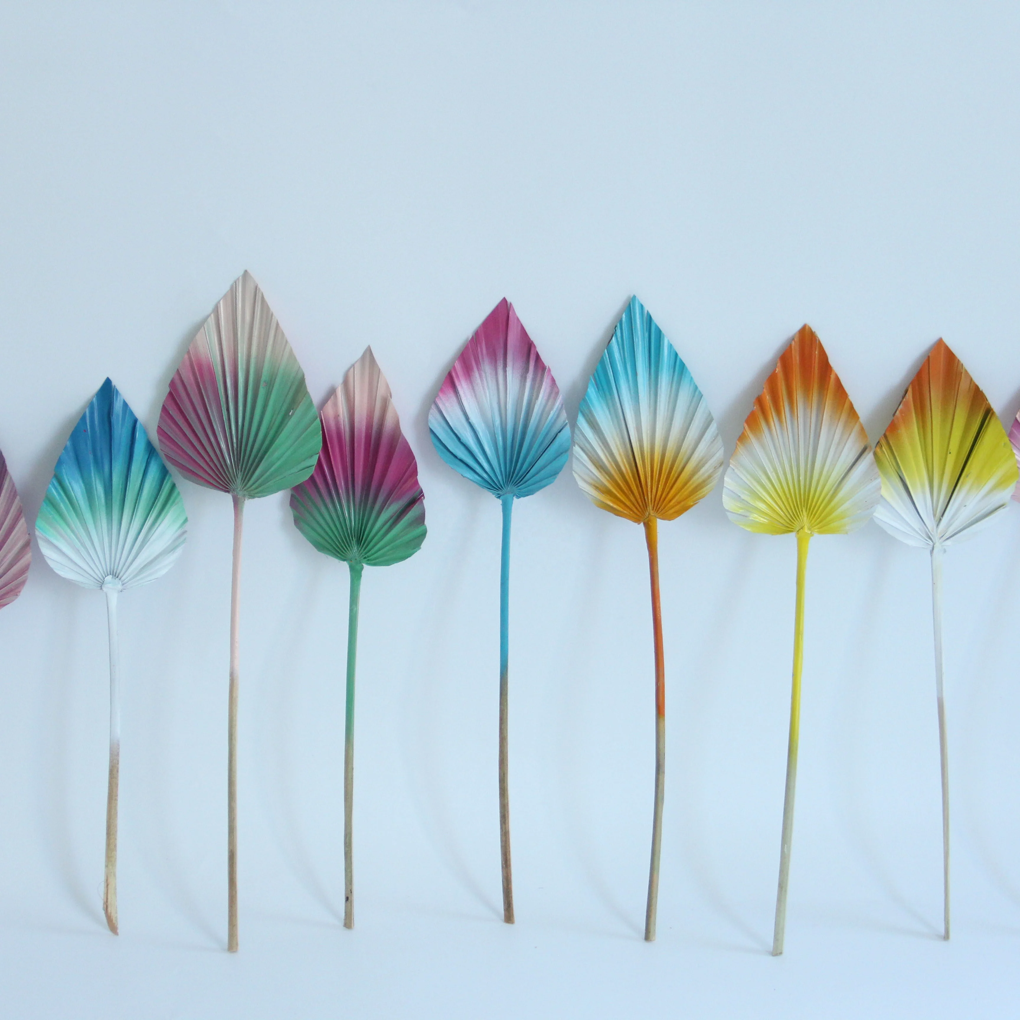Natural Preserved Dried Flowers Pampas Mini White Palm Leaves Palm Tree Leaves Flowers Tropical Dry Spears Fan Leaf