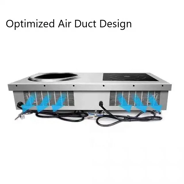 Multi Head Stainless Steel Housing Two Burner Commercial Induction Stove Embedded & Desktop Hot Plates