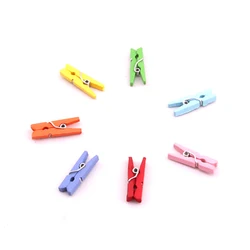 Eco-Friendly Color 2.5 cm Spring Clothespin Wood Clips For Home Decoration