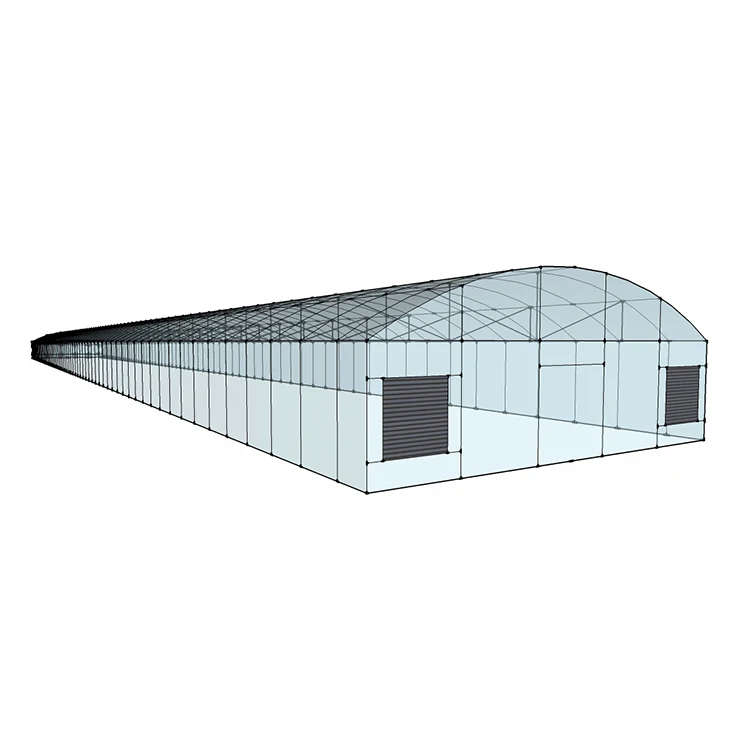 MYXL Low Cost High Economy Efficiency Greenhouses Single-span Greenhouse China Manufacturer