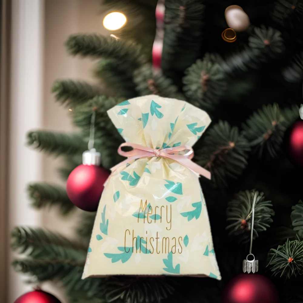 Huadefeng Recyclable PP Plastic Bag From China Manufacturer Packing Christmas Chocolate Gift