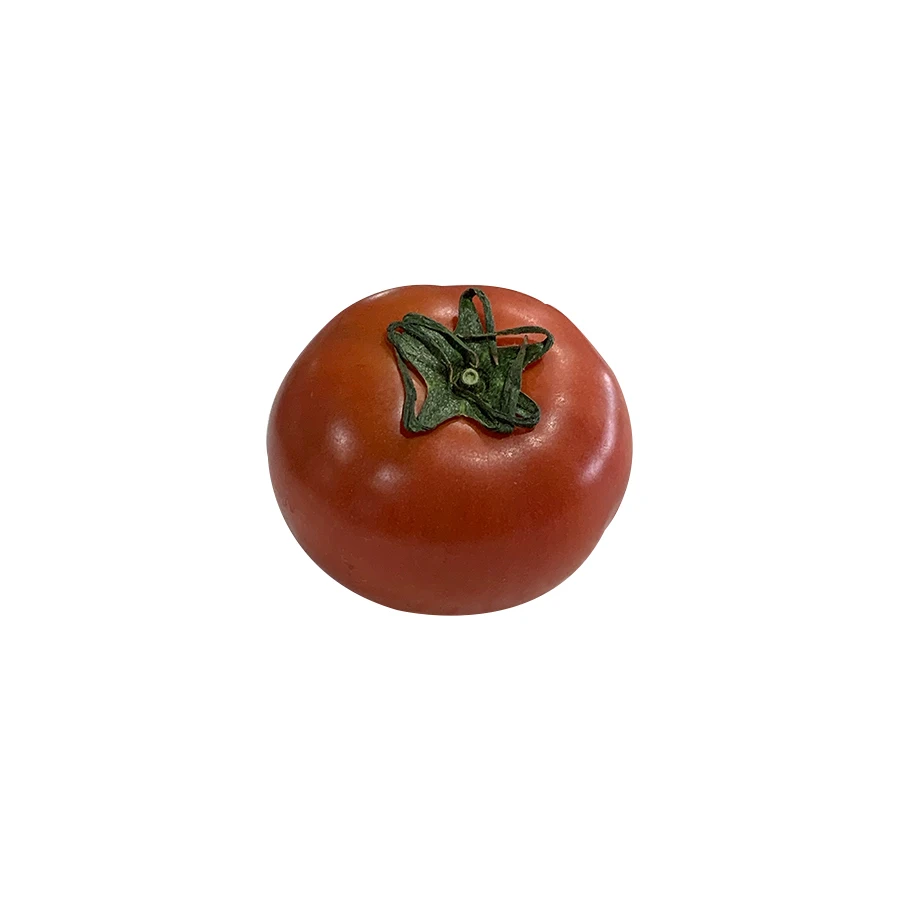 Japanese high quality fresh good taste tomato flavor for wholesale