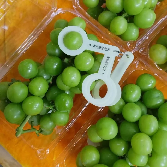 New Crop Delicious Green Grapes Organic Grapes Fresh Fruit Red Grape For Sale