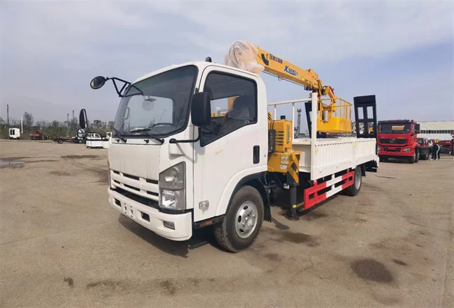 New arrival model small carge truck 1ton truck mounted crane