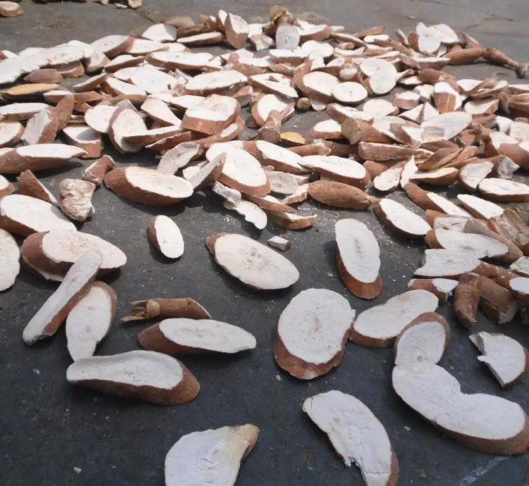 Large Capacity Customized Heat Pump Vegetable Cabinet Mesh Belt Cassava Pumpkin Powder Processing Making Dryer Drying Room