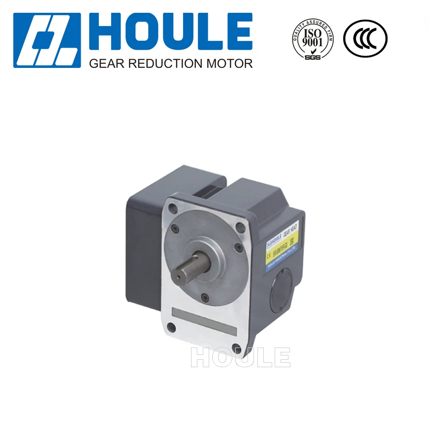 HOULE AC/DC 6W~400W Hot Sale AC Synchronous Gear Motor Micro Reduction Motor Gear Reducer
