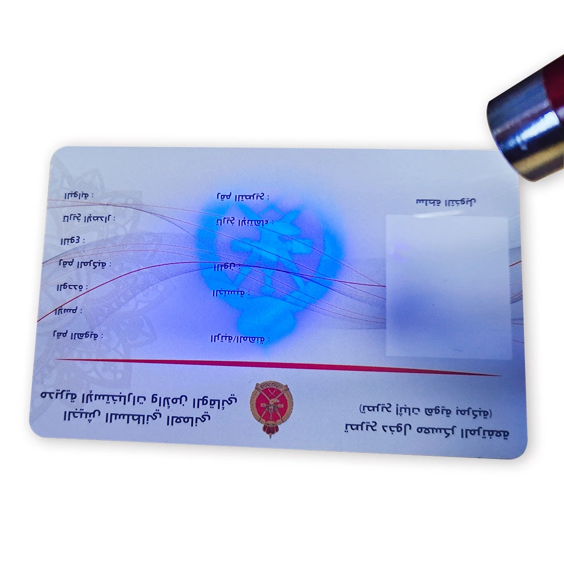 High Quality CR80 Size Customized Offset Printed Security Hologram Logo Plastic PVC Loyalty Cards