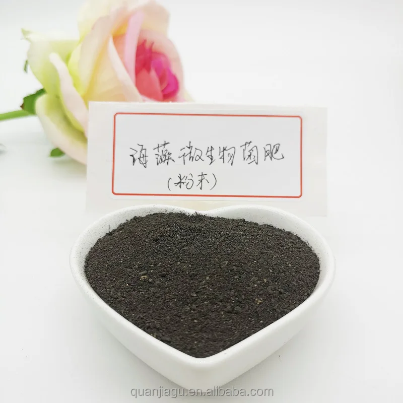 Water Soluble Fertilizer NPK 20-20-20 Seaweed Biofertilizer Organic Fertilizer for Agriculture Powder