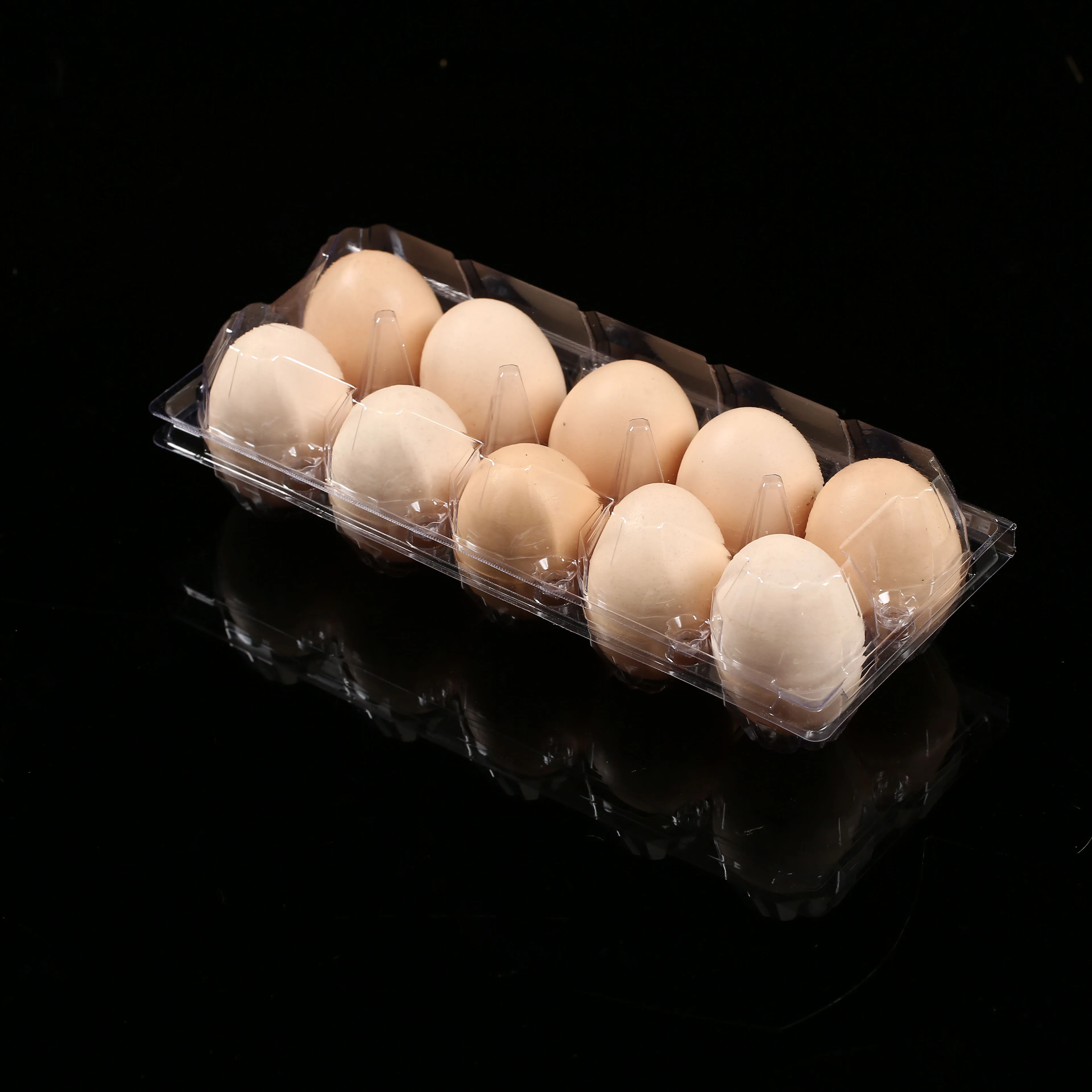 Clear 10 Egg tray quail egg tray