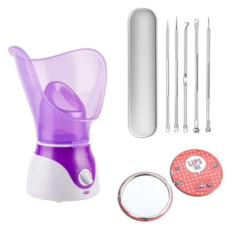 Wholesale Professional Hot Mist Facial Steamer OEM Face Steamer Mirror Blackhead remover Needle Set Beauty Face mist Sprayer